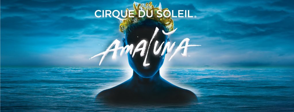 cirque-du-soleil-ticket[1]